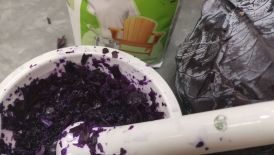  BFS 1: Farben aus Pflanzen